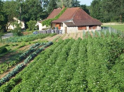 Earl au Bas de l'Etang