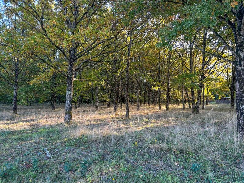 Terrain - 17 400 m²