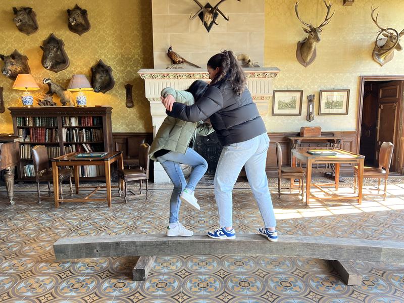 Les Mousquetaires du Roi