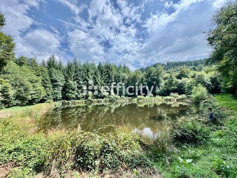 Demeure - 306 m² - 8 pièces