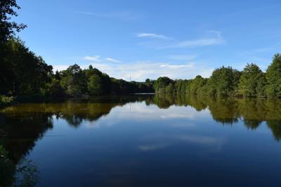 Maison de domaine équestre - 415 m²