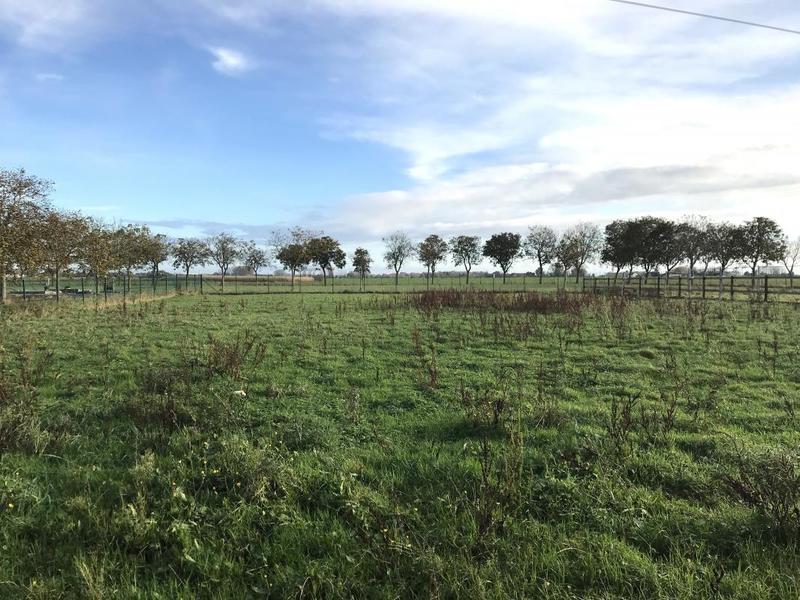 Immeuble - 1 250 m² - 4 pièces