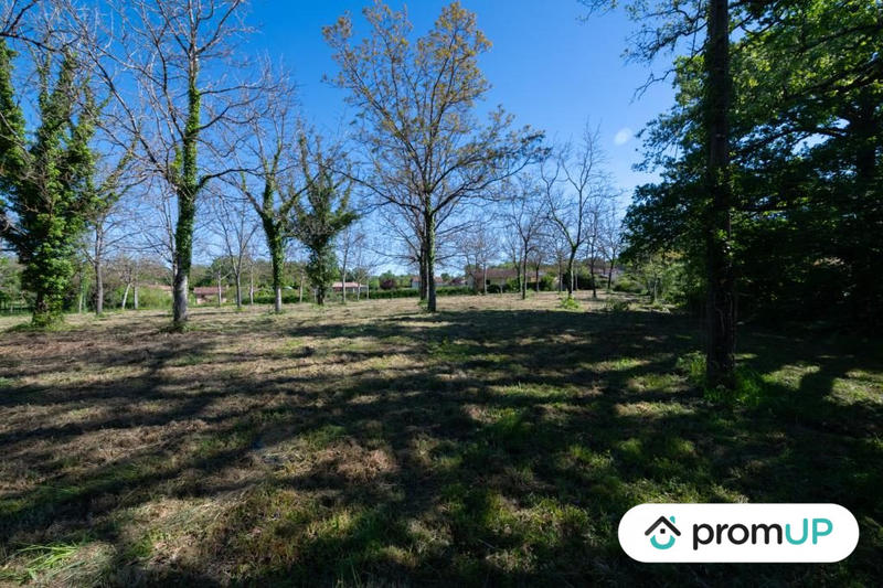 Terrain - 10 000 m²