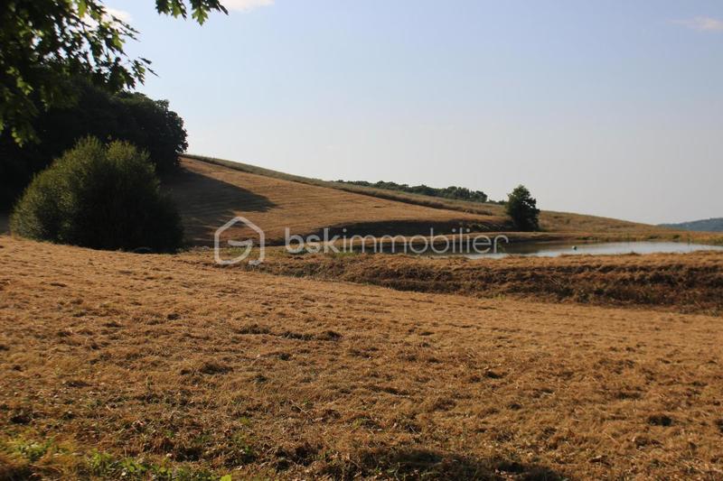 Corps de ferme - 230 m² - 7 pièces