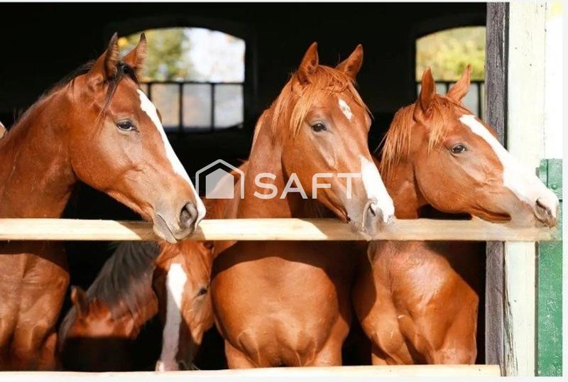 Maison - 156 m² - 5 pièces