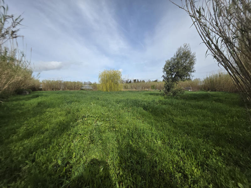 Terrain agricole - 5 006 m²