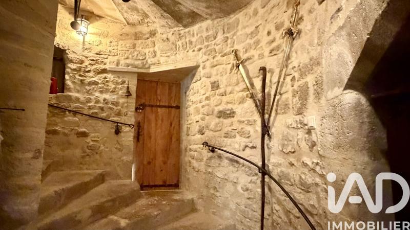 Château - 394 m² - 10 pièces