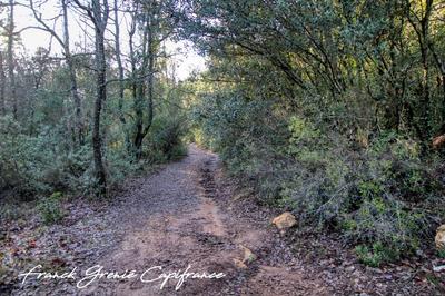 Terrain - 55 050 m²