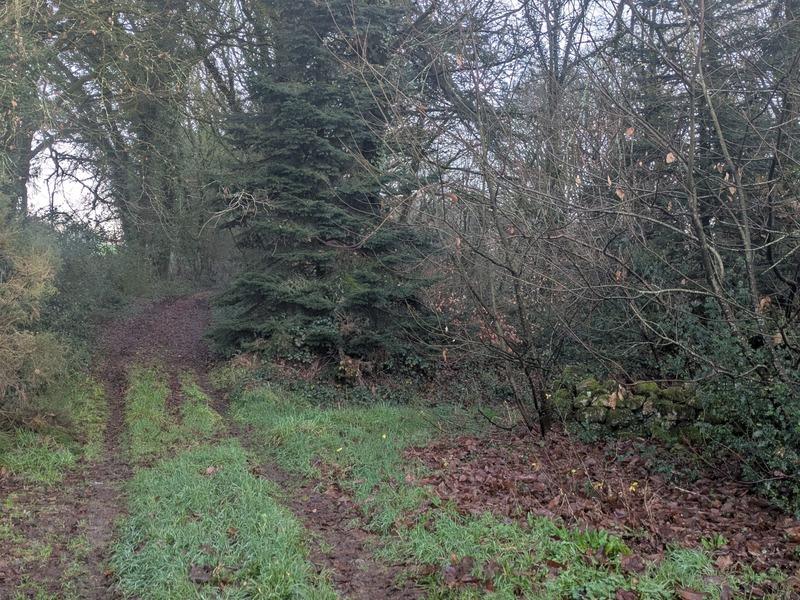 Propriété - 150 m² - 8 pièces