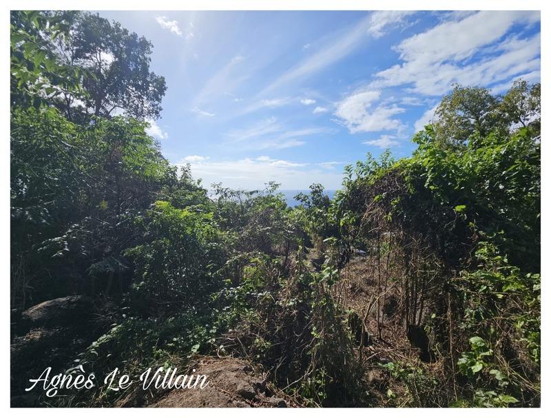 Terrain constructible - 1 041 m²