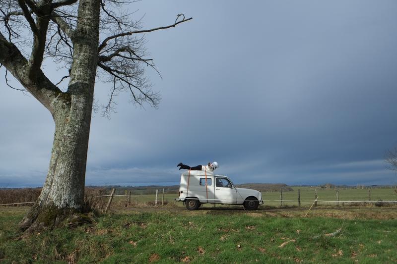 Rencontre découverte de l'exposition Collection en mouvement - une mue de nuage