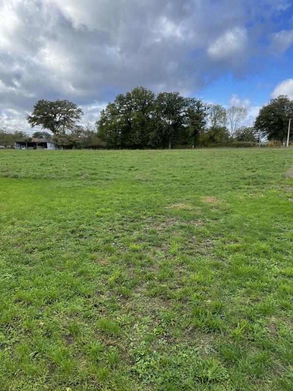 Ferme - 160 m² - 5 pièces