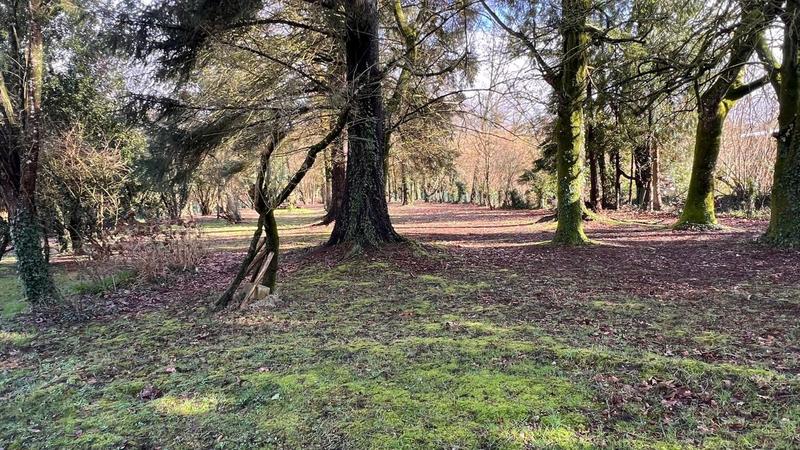 Maison - 207 m² - 8 pièces