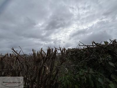 Terrain constructible - 943 m²