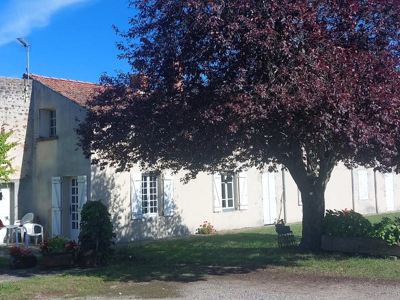 Viager - Maison - 200 m² - 6 pièces