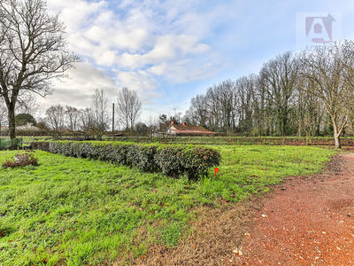 Terrain - 779 m²