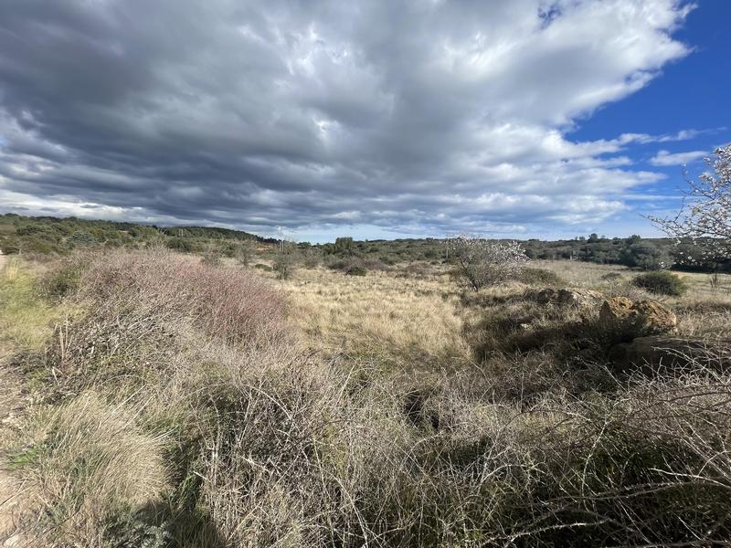 Terrain inconstructible - 6 683 m²