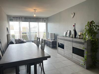 Appartement - 53 m² - 2 pièces