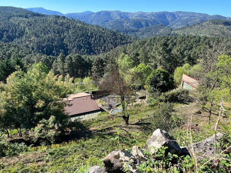 Maison - 67 m² - 3 pièces