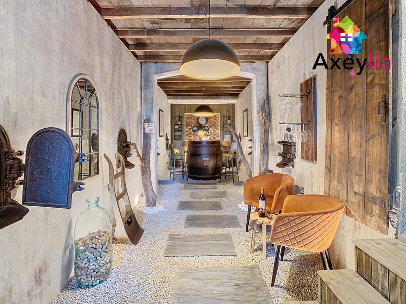 Propriété - 272 m² - 9 pièces