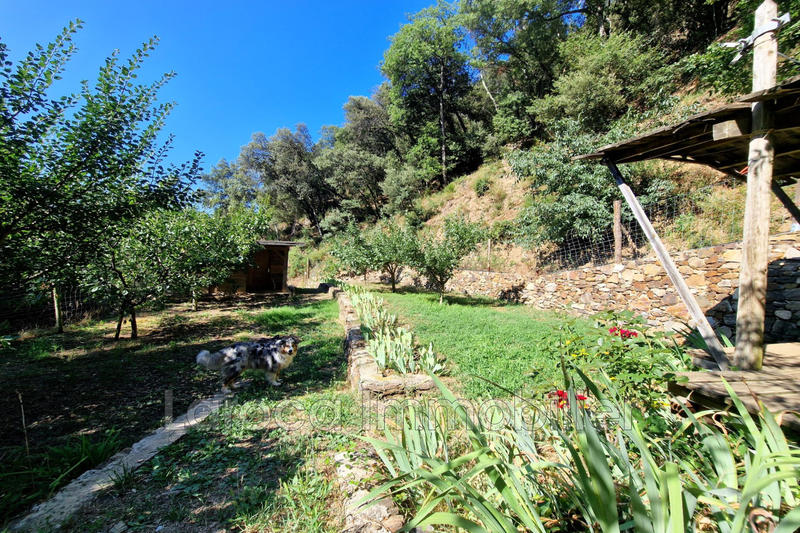 Mas - 295 m² - 11 pièces