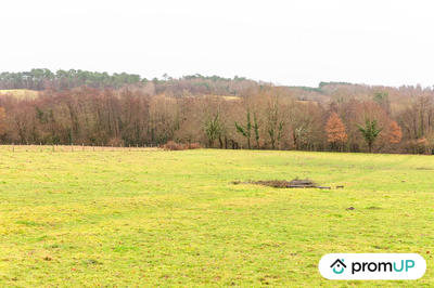 Terrain agricole - 50 040 m²