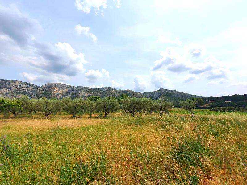 Maison - 156 m² - 6 pièces