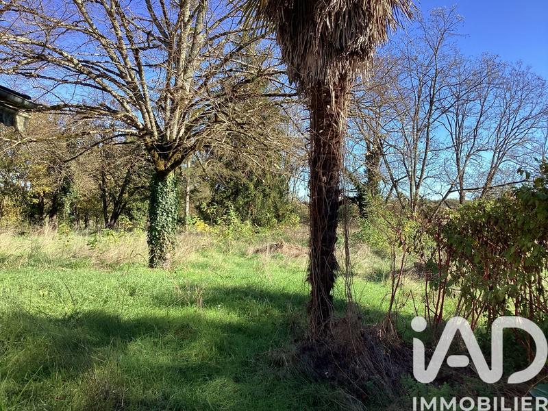 Maison - 600 m² - 8 pièces