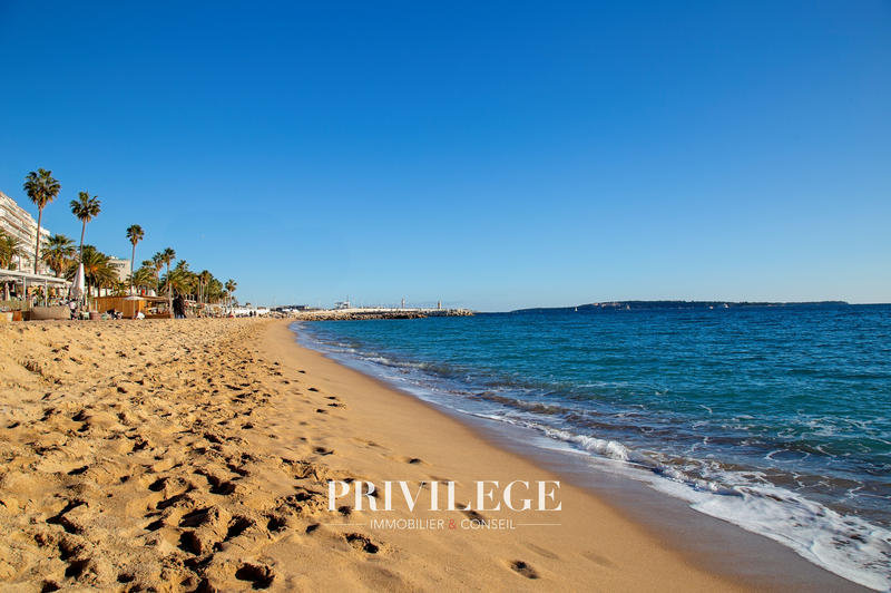 Appartement - 34 m² - 1 pièce