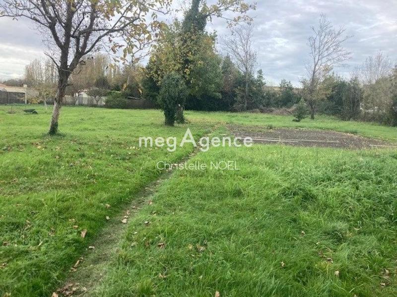 Terrain constructible - 2 700 m²