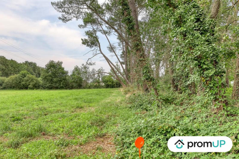 Terrain de loisirs - 874 m²