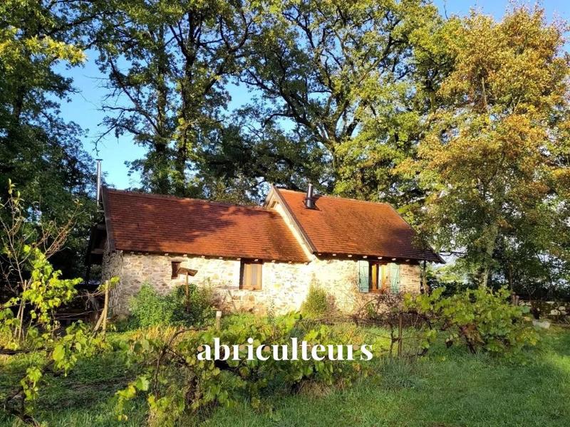 Maison ancienne - 160 m² - 9 pièces