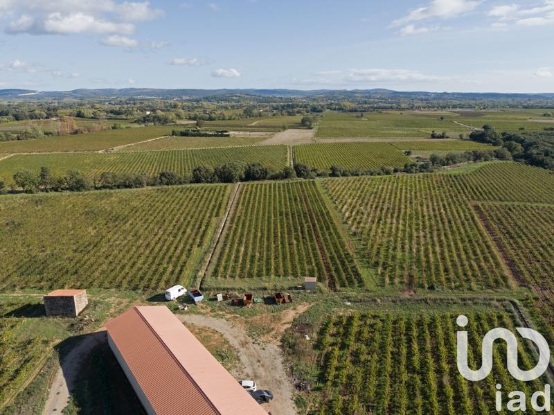 Terrain agricole - 93 829 m²