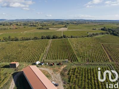 Terrain agricole - 93 829 m²