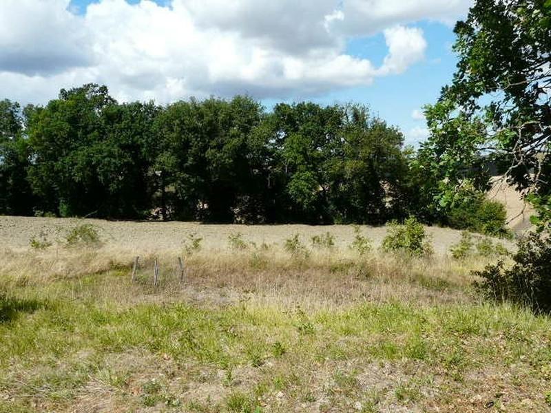 Maison - 30 m² - 2 pièces