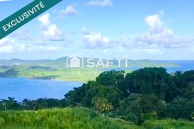 Terrain - 11 291 m²