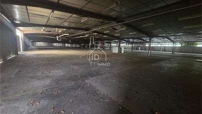 Local d'activité / Entrepôt - 10 200 m²