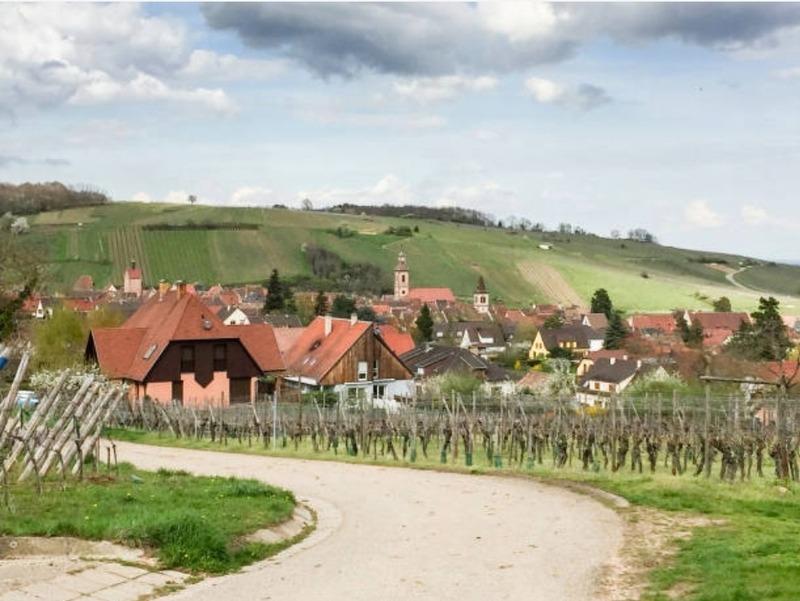 Studio - 22 m² - 1 pièce