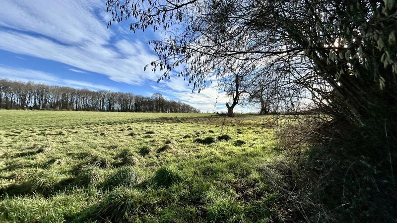 Maison - 119 m² - 6 pièces