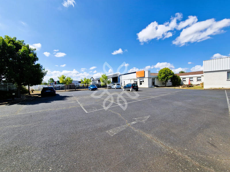 Bureau - 250 m² - 7 pièces