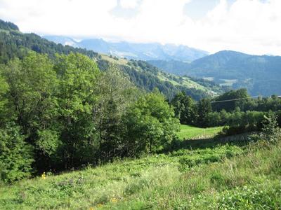 Terrain - 773 m²