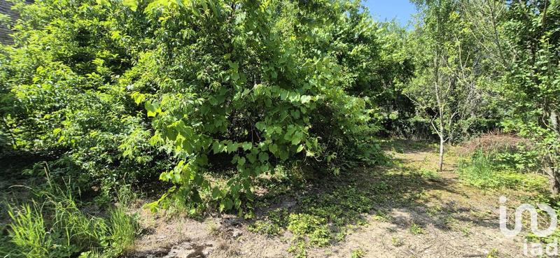 Maison - 105 m² - 7 pièces