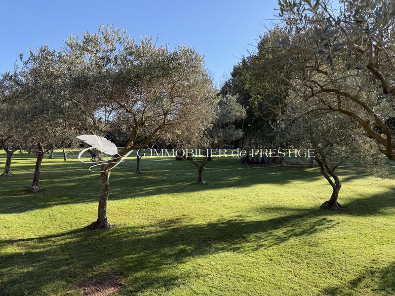 Propriété - 275 m² - 9 pièces