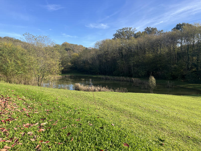 Maison - 420 m² - 14 pièces