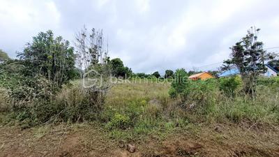 Terrain constructible - 1 850 m²