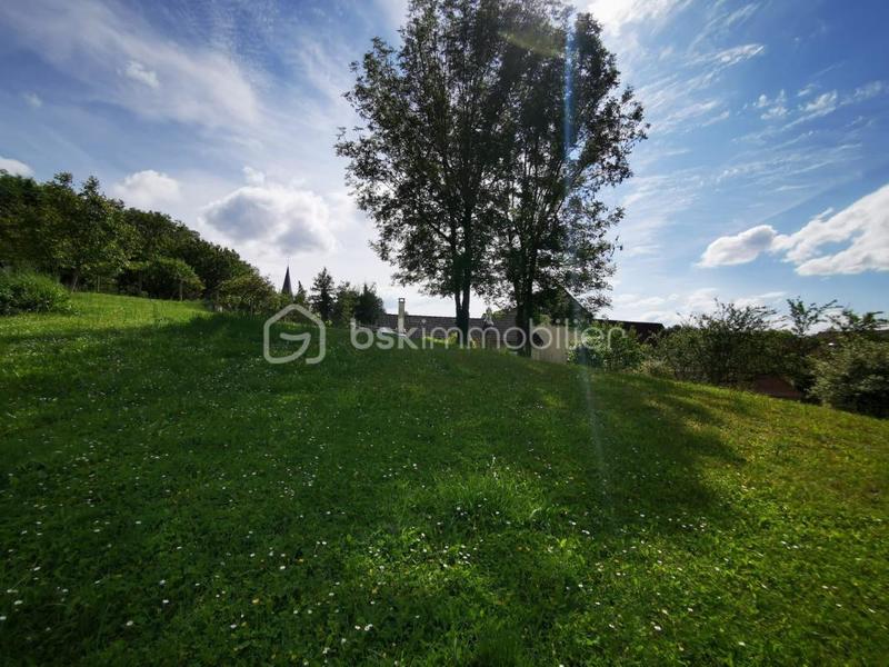 Terrain - 1 650 m²
