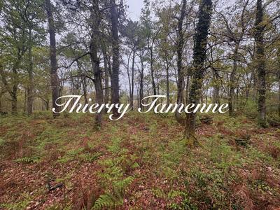 Terrain - 48 400 m²