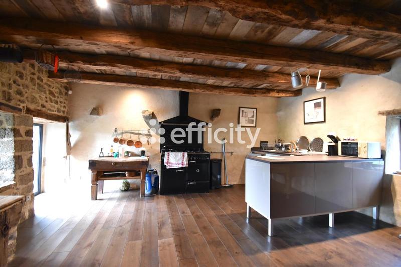 Maison de domaine équestre - 356 m² - 13 pièces