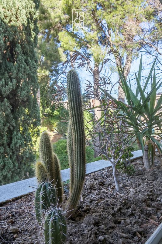 Appartement - 107 m² - 4 pièces