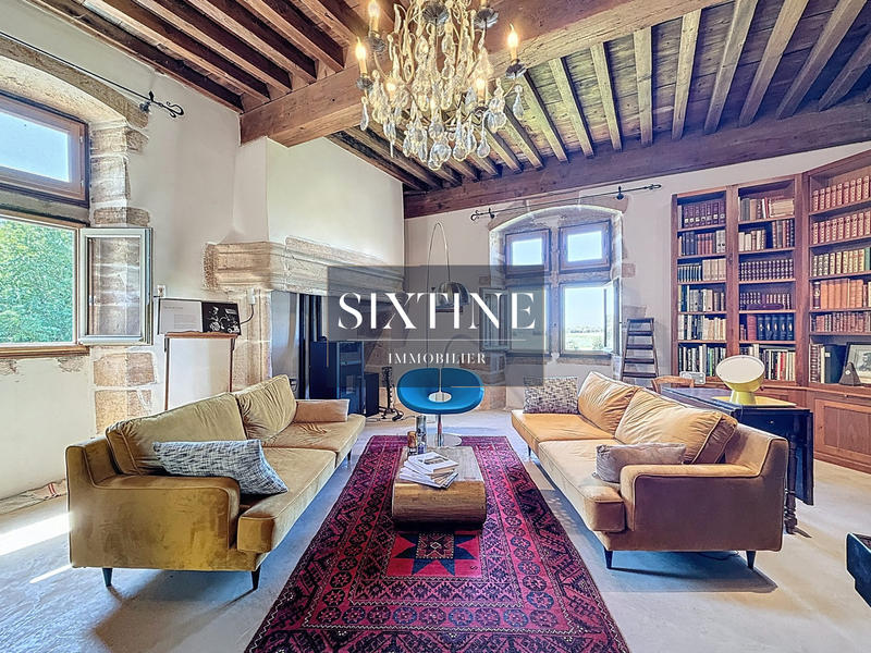 Château - 500 m² - 12 pièces